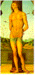 Seba3.gif (3885 bytes)